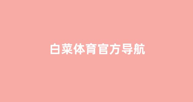 华人策略和华人论坛研究中心
