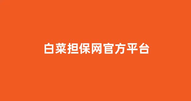 华人策略