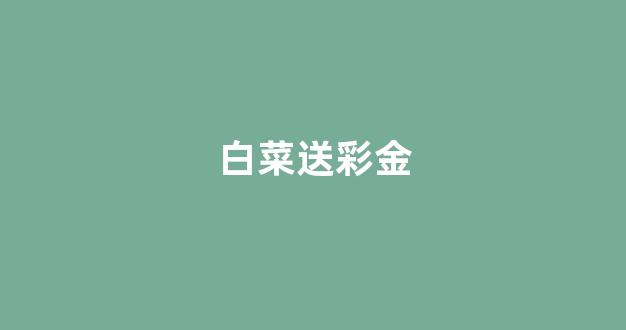 华人策略和华人论坛研究中心
